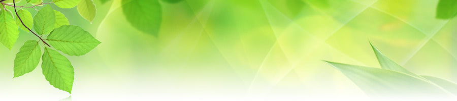 �͂�������̃N���j�b�N